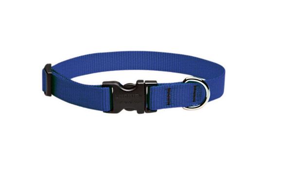 LupinePet Basic Solids Blue Nylon Dog Adjustable Collar