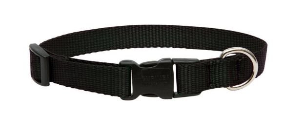 LupinePet Basic Solids Black Nylon Dog Adjustable Collar