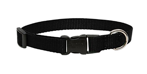 LupinePet Basic Solids Black Black Nylon Dog Adjustable Collar