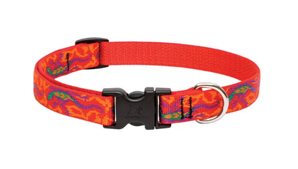 LupinePet Original Designs Multicolor Go Gecko Nylon Dog Adjustable Collar