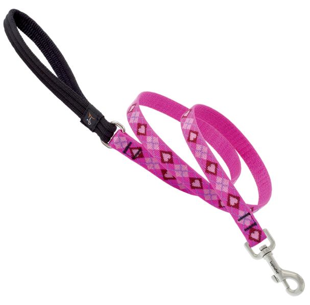 LupinePet Original Designs Multicolor Puppy Love Nylon Dog Leash