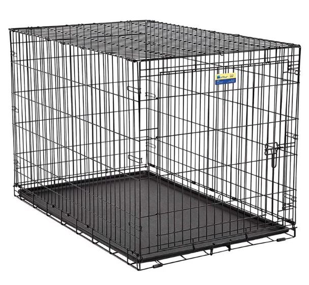 Pet Essentials Medium Steel Dog Crate Black 26 in. H X 24 in. W X 36 in. D