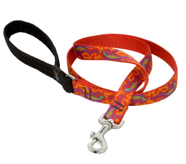 LupinePet Original Designs Multicolor Go Gecko Nylon Dog Leash
