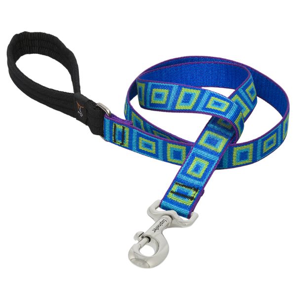 LupinePet Original Designs Multicolor Sea Glass Nylon Dog Leash