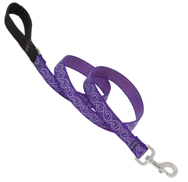 LupinePet Original Designs Multicolor Jelly Roll Nylon Dog Leash