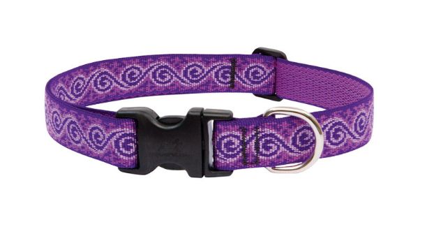 LupinePet Original Designs Multicolor Jelly Roll Nylon Dog Adjustable Collar