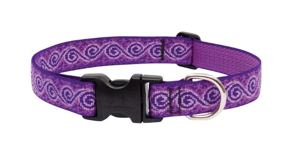LupinePet Original Designs Multicolor Jelly Roll Nylon Dog Adjustable Collar