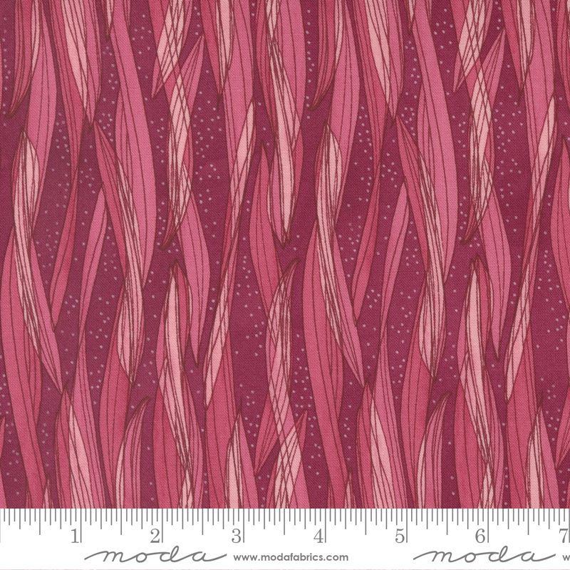 Tulip Tango Range per metre, Name: Cranberry 14-19