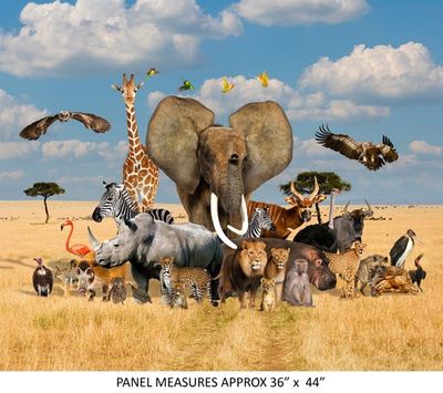 African Safari per metre