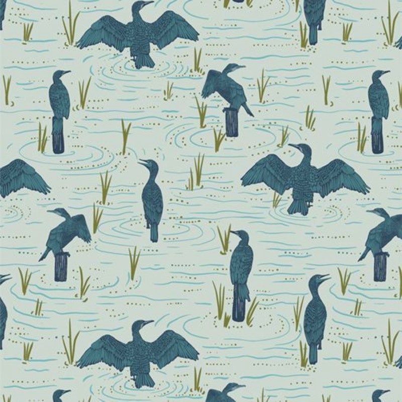 Bird Watching - Tomales Bay