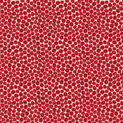 Poppies - per metre