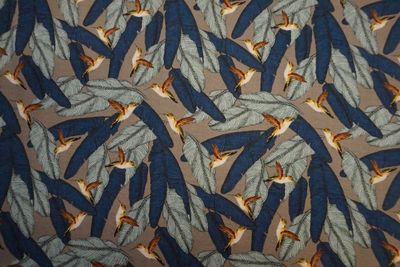 Hummingbirds &amp; Feathers per metre
