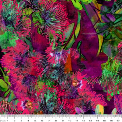 Eucalyptus Hinterland Blossom Pink per metre