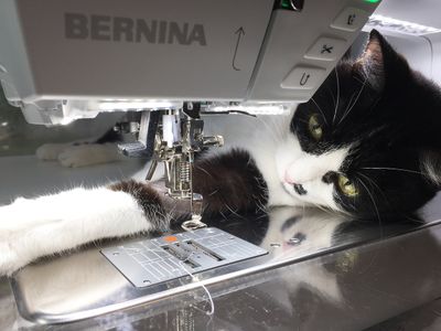 Sewing by Machine