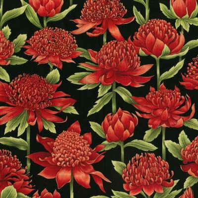 Waratah per metre