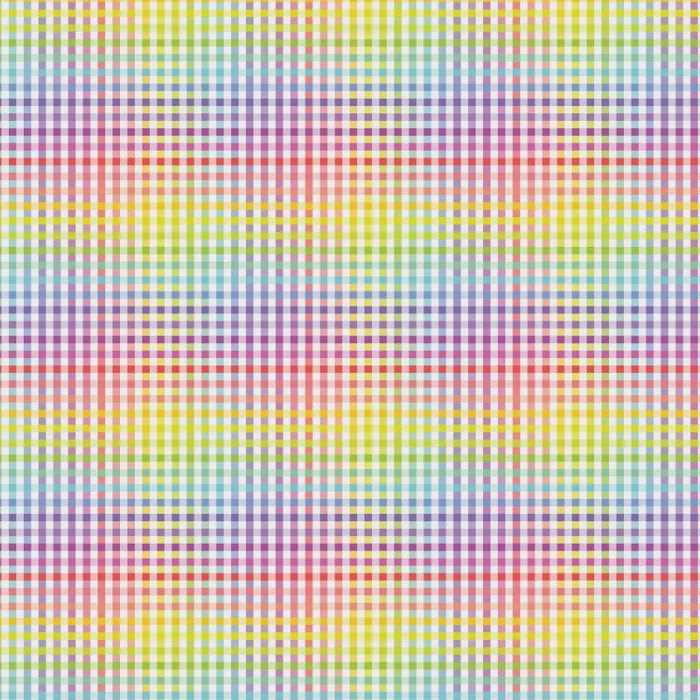 Bias 25mm - Check White Rainbow - per metre
