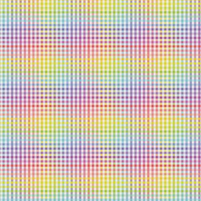 Bias 25mm - Check White Rainbow - per metre