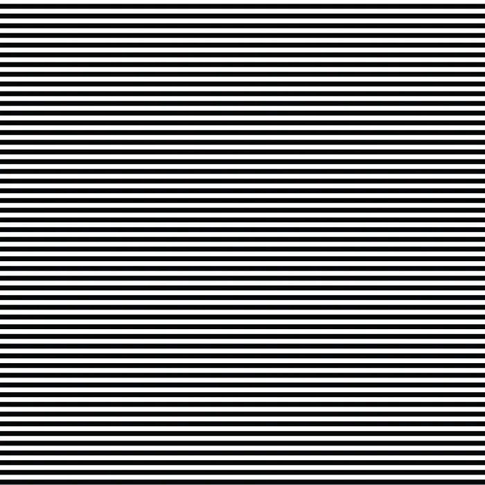 Bias 25mm - Stripe Black and White - per metre