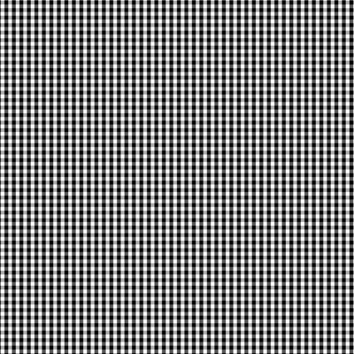 Bias 25mm - Check Black and White - per metre