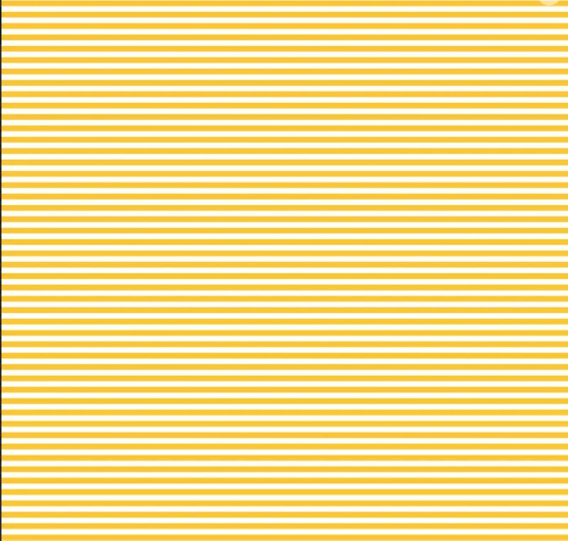 Bias 25mm - Stripe Sunnyside - per metre
