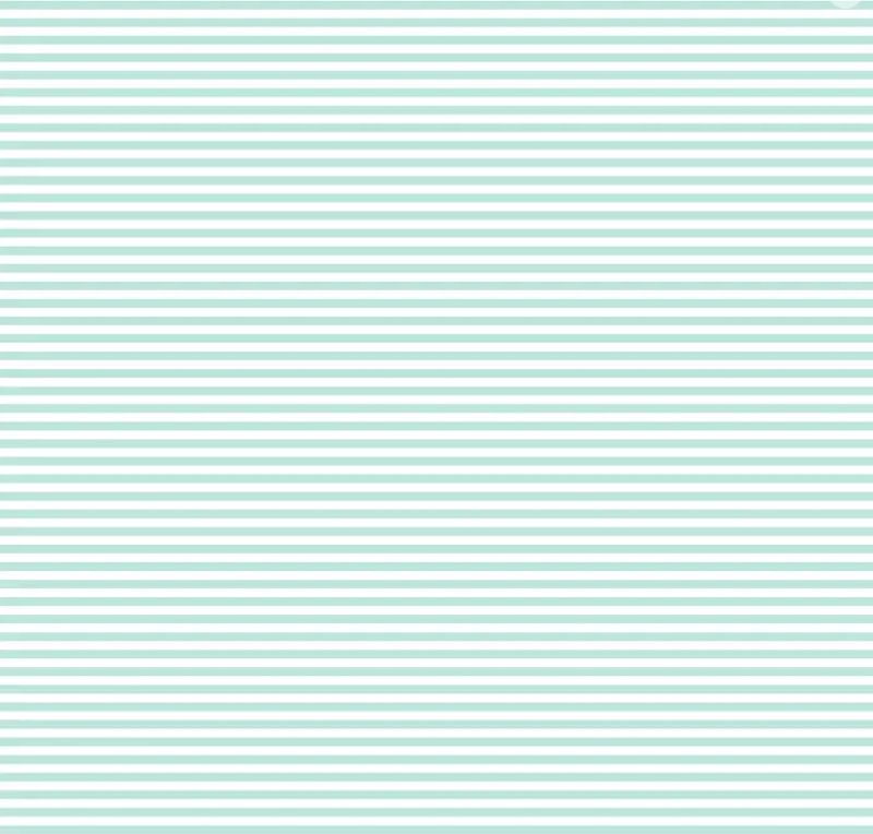 Bias 25mm - Stripe Seafoam - per metre
