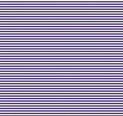 Bias 25mm - Stripe Jeff - per metre