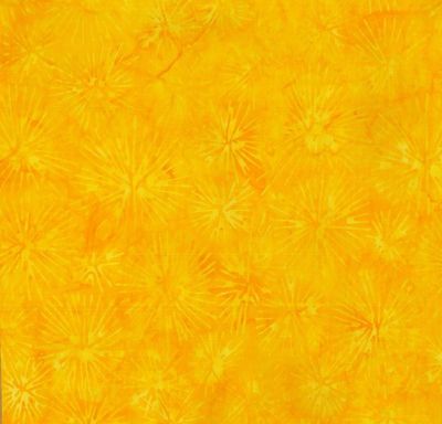 Brights - Designer Palette 2025