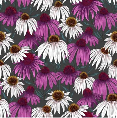 Flower Market Echinacea per metre