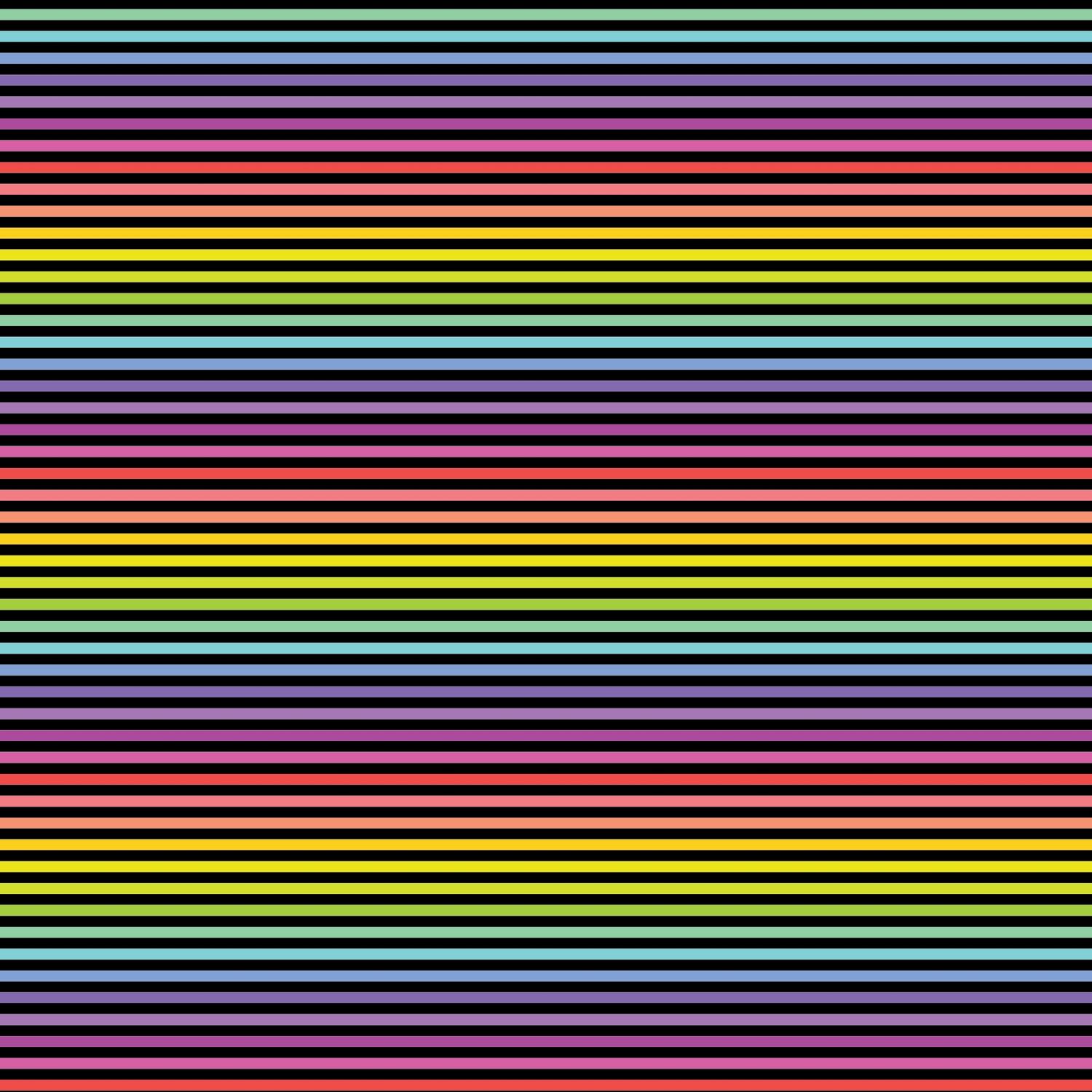 Bias 25mm - Stripe Black Rainbow - per metre