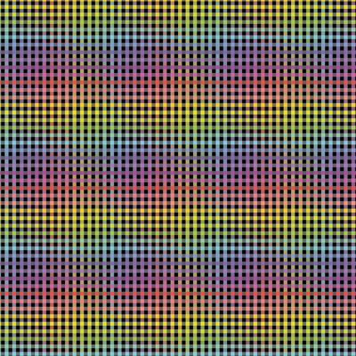 Bias 25mm - 1/8 Check Black Rainbow - per metre