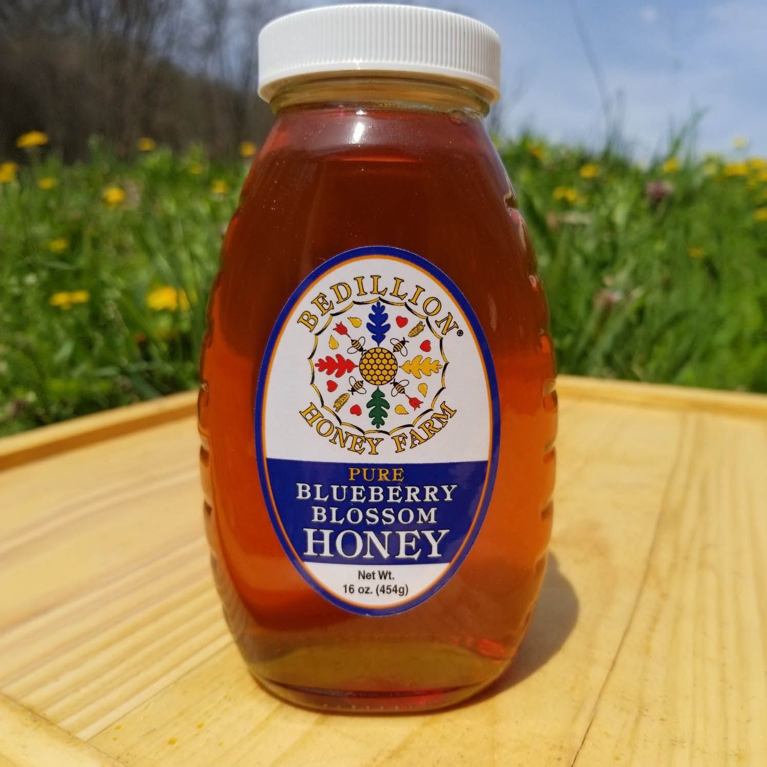 Blueberry Blossom Honey