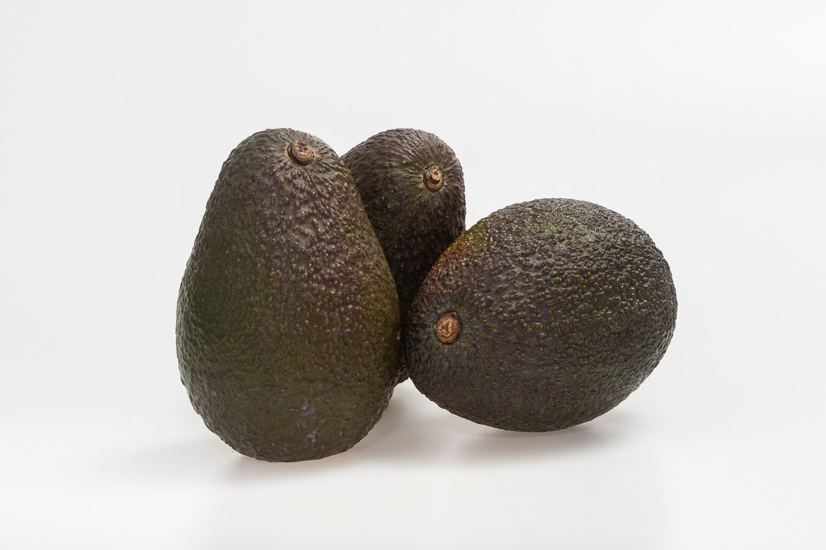 Avocat AFFINE Hass calibre 20 (la Piece)
