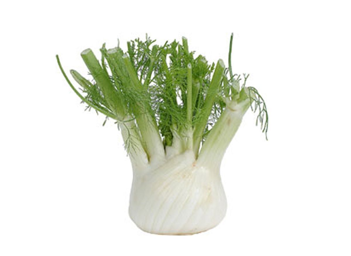 Fenouil (corse/Italie)(prix au KG)