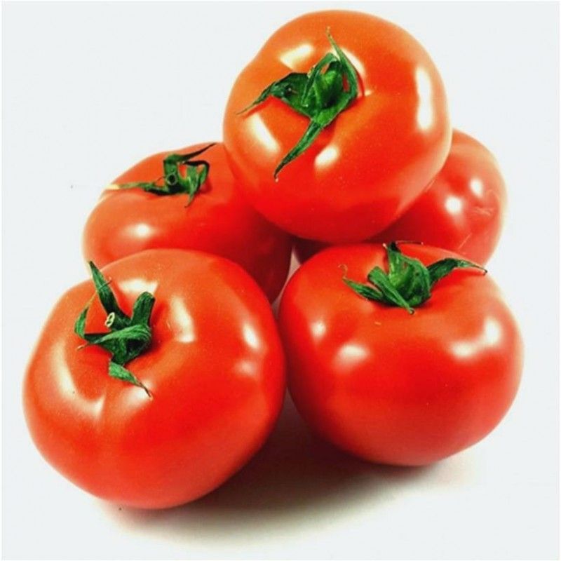 Tomate ronde cal 67 (corse) (prix au KG)