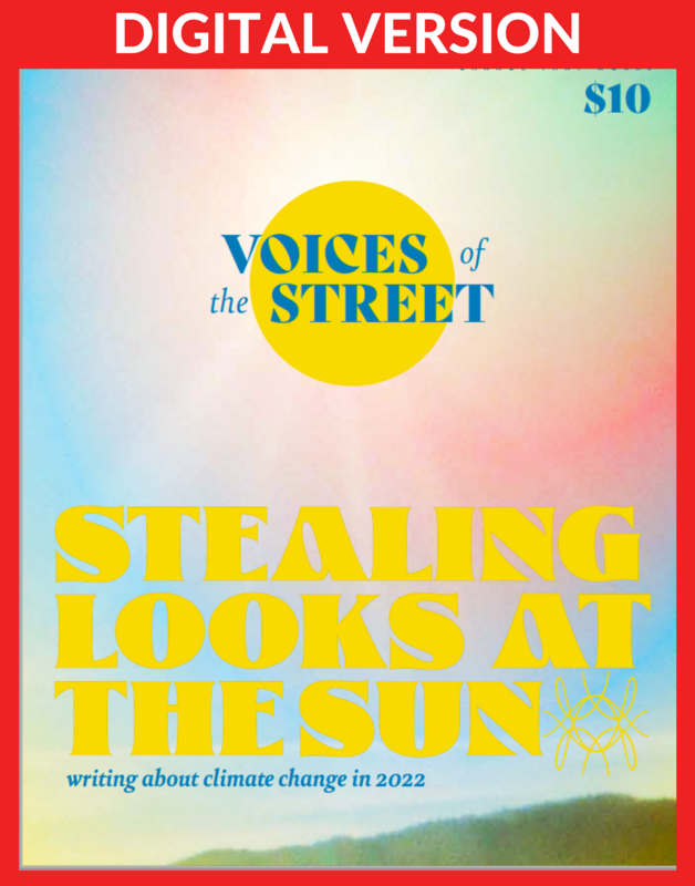 DIGITAL Voices of the Street 2022