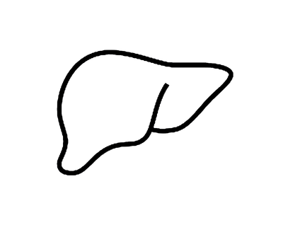 Liver Health