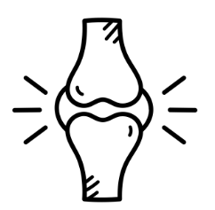 Bone Health