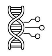 Mitochondrial Health