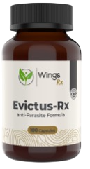 Panaxea Evictus-Rx (Gut Bug) 60c