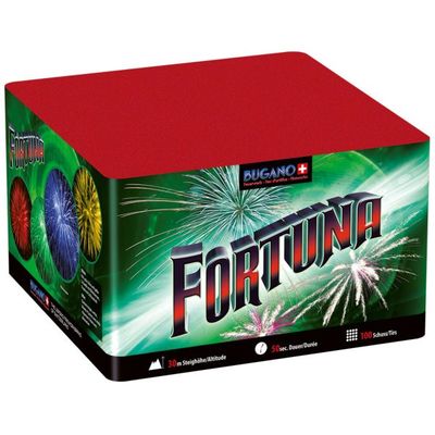 Fortuna - 100 Schuss