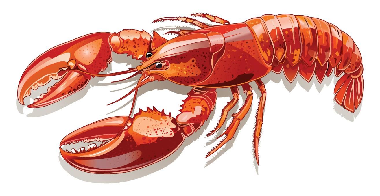 2' x 3' Lobster Dinner Flag