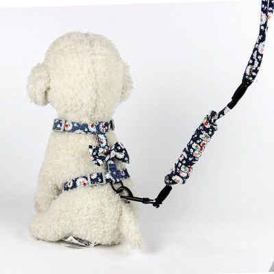 Floral Blossom Cat Leash/Small Dog - Embrace The Japanese Charm!