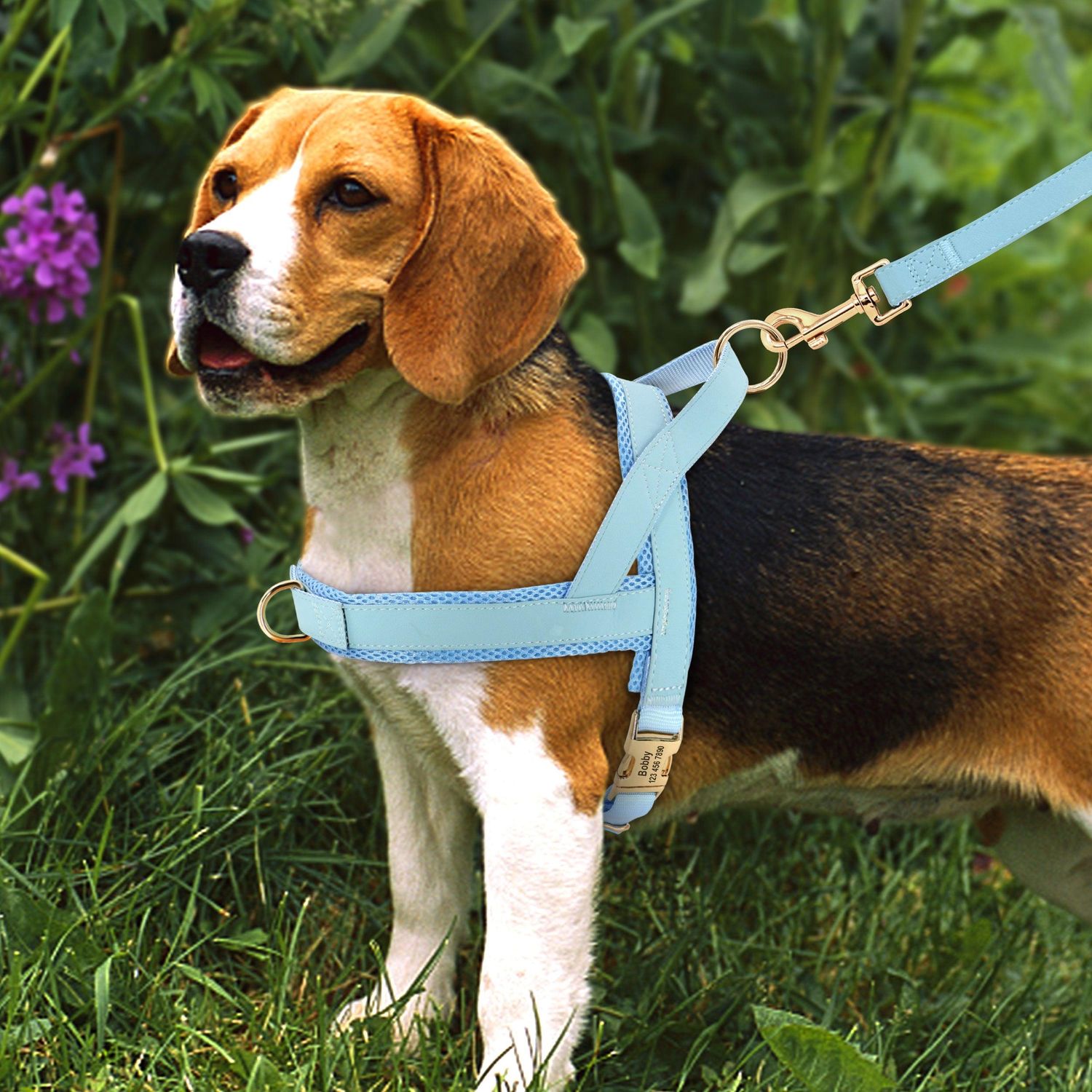 Customizable Pet Harness And Leash Set