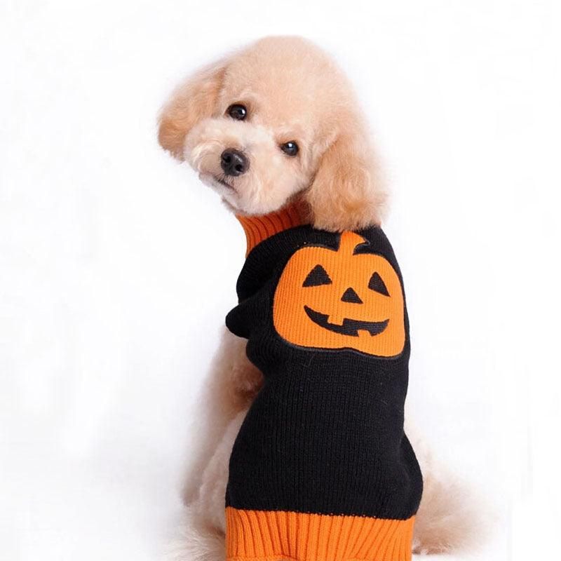 Spooky Pumpkin Pup Sweater