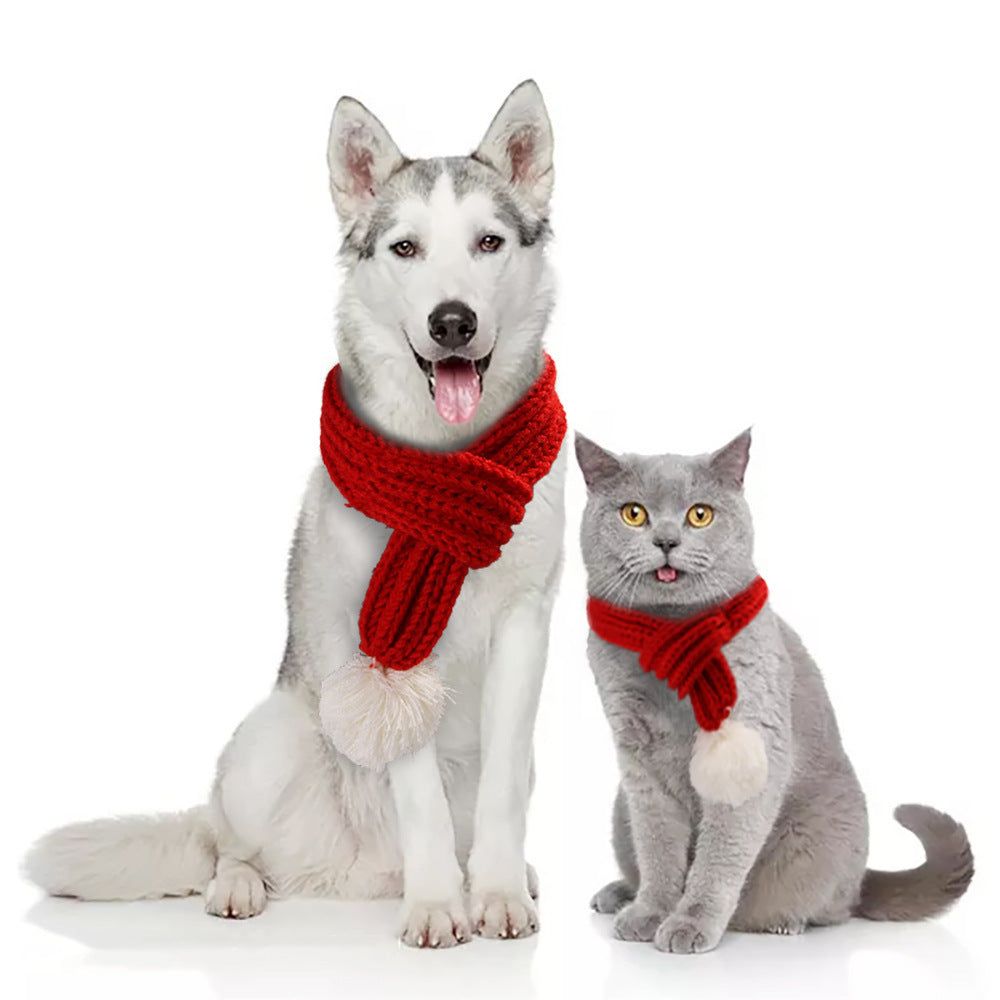 Scarf for pet