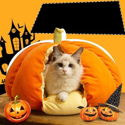 [SALE] Extra Plush Cat Pumpkin Bed