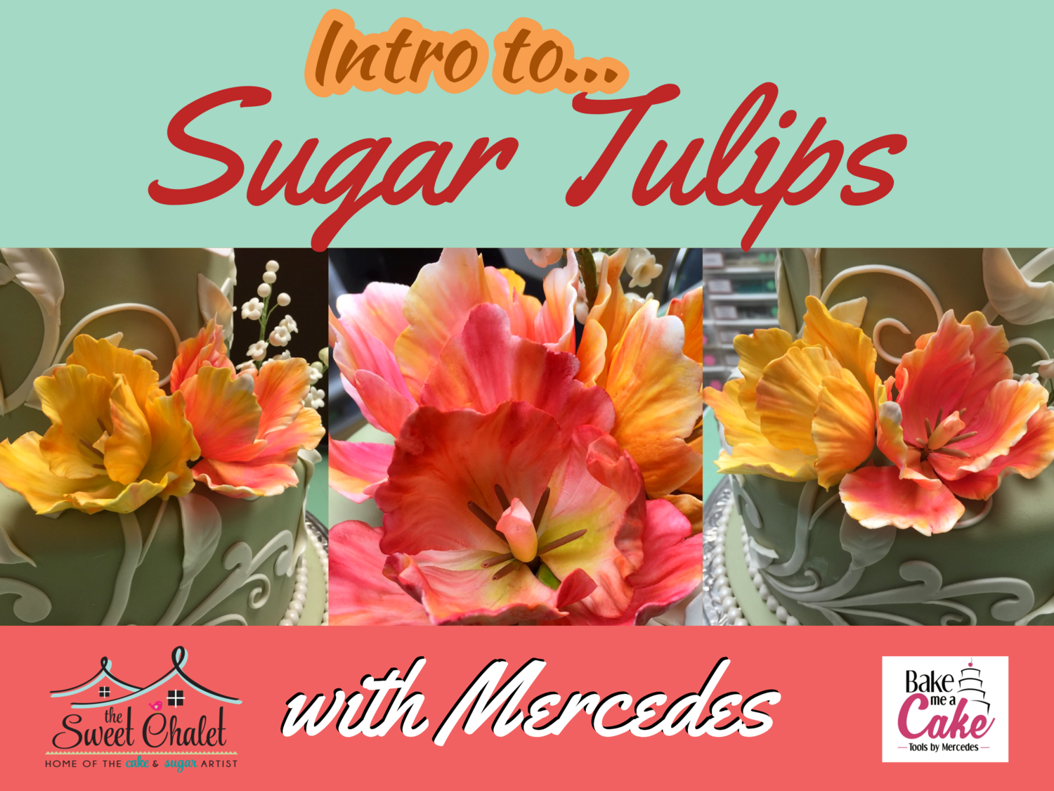 Intro to Wired Sugar Flowers: Parrot Tulips