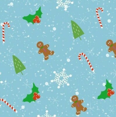 Winter Holidays