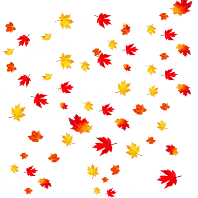 Autumn / Fall / Thanksgiving
