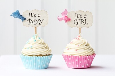 Gender Reveal / Baby Shower
